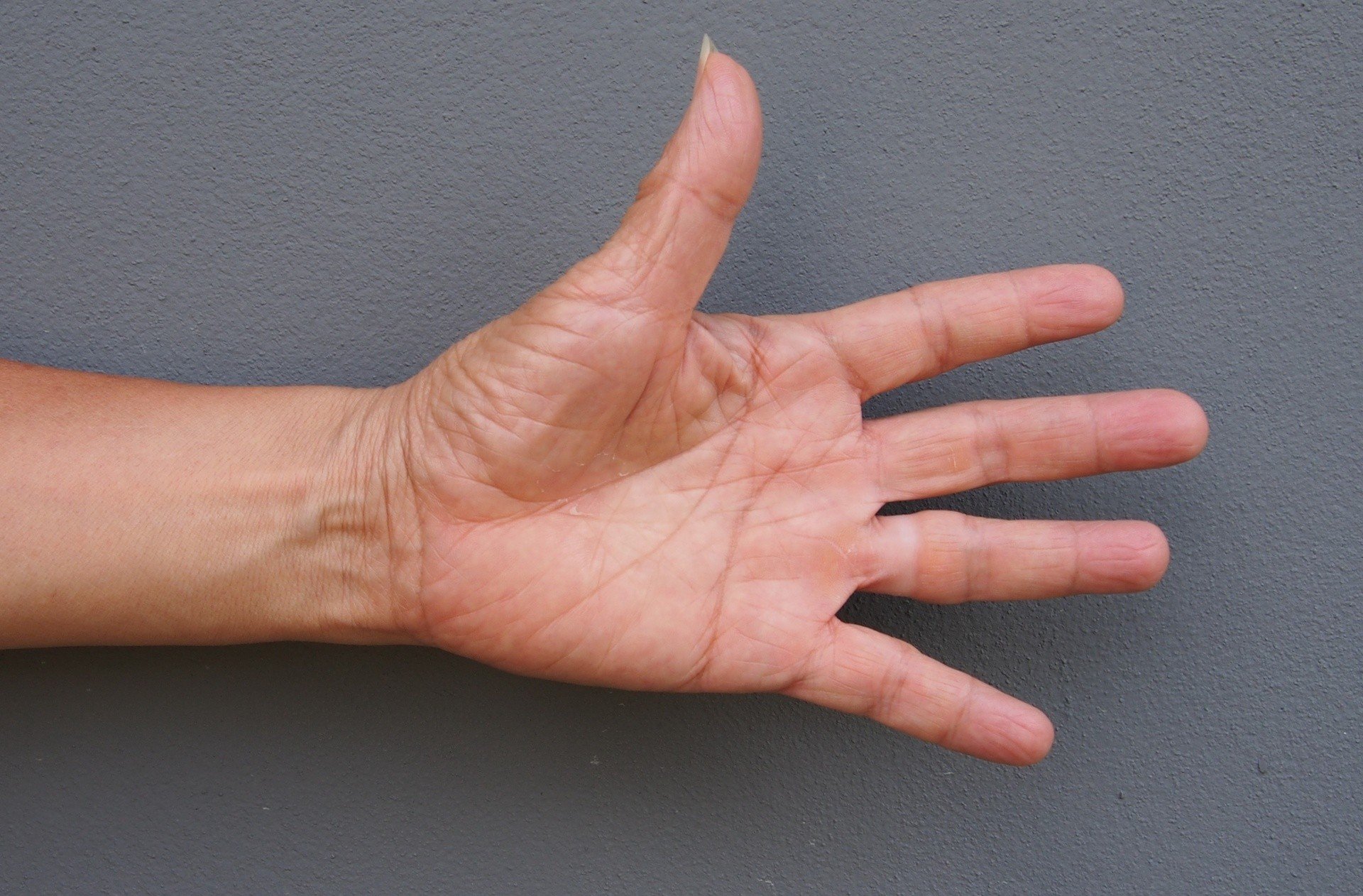 Co mówi o twoja dłoń o tobie? Scenariusz życia masz w swoich rękach.  Wróżenie z dłoni: wszystko, co musisz wiedzieć o chiromancji | Dziennik  Polski