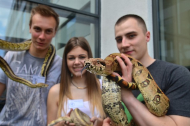 Wystawa zwierząt egzotycznych na Uniwersytecie Przyrodniczym w Poznaniu - maj 2017 r.