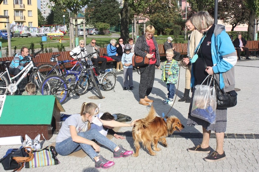 Ludzie w budzie i przykuci łańcuchem to happening akcji...