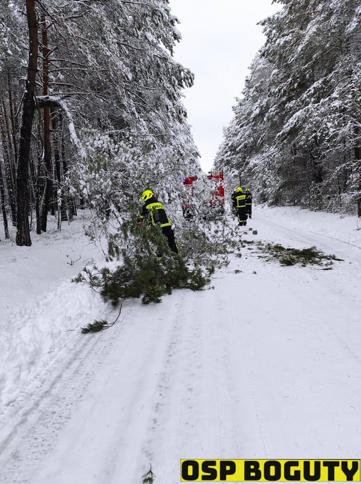 Boguty-Pianki - Nur. Przewrócone drzewa na drodze. Śnieg na drodze nie jest jedynym zagrożeniem dla kierowców. 26.01.2021