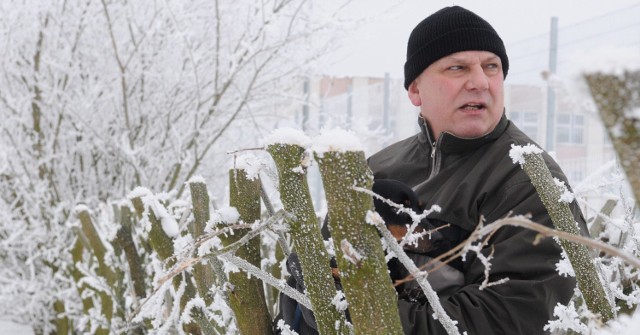 - Z tym morwami wycięli nam niezły numer! - stwierdza krótko pan Wiesław, który lubi tędy spacerować z Kajtkiem