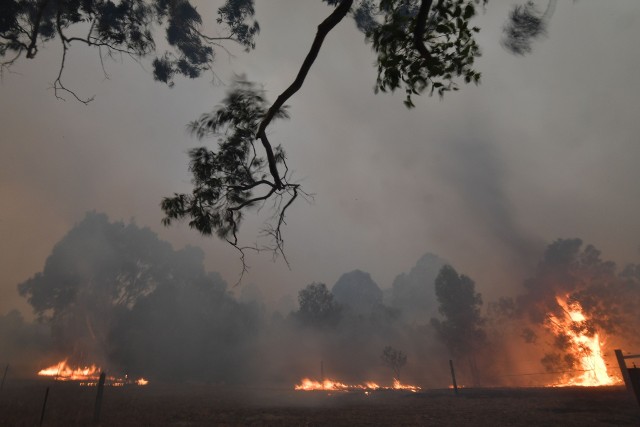 Zdjęcie pożaru mieszkalnej dzielnicy miasta Nowra w Nowej Południowej Walii 31 grudnia 2019.