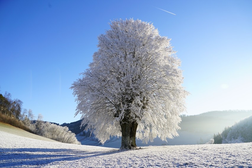 W Wigilię będzie nieco chłodniej. Temperatura i tak będzie...