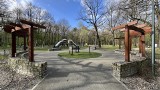 Park Zielona w Dąbrowie Górniczej zaprasza na wiosenne spacery. Pachnie już czosnek niedźwiedzi, słychać śpiew ptaków 