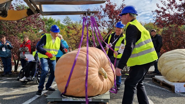 Festiwal Dyń w Krapkowicach 2022.