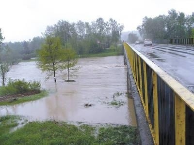 Rzeka Raba zatapia ulokowane w tym rejonie studnie głębinowe średnio co 3 lata. Na razie nie wiadomo, czy znajdą się pieniądze, które pozwolą poskromić żywioł. Fot. Barbara Rotter-Stankiewicz