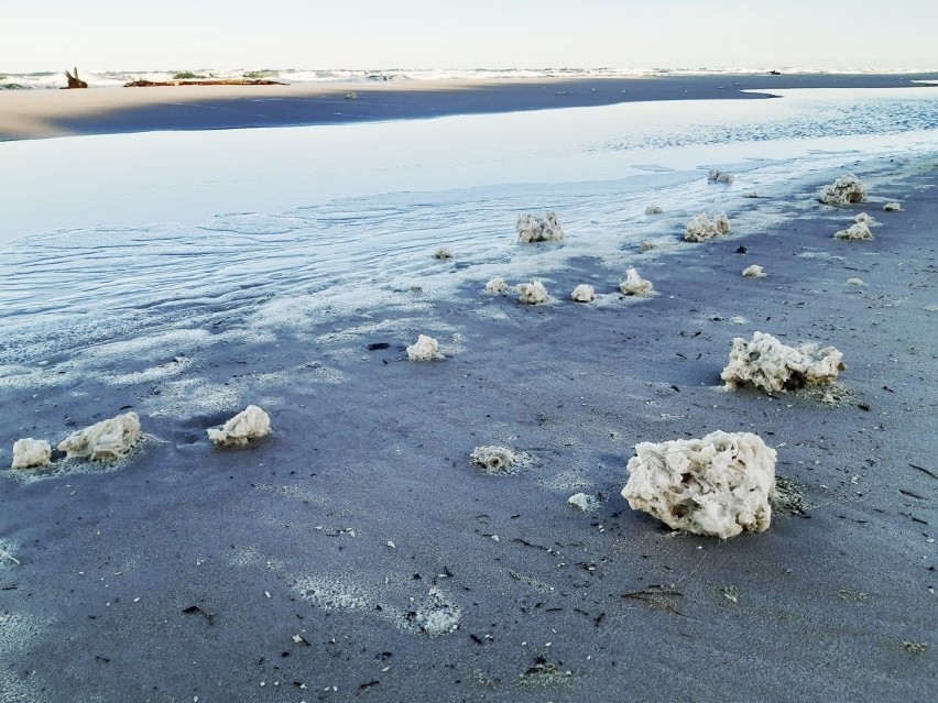 Ekolodzy alarmują. Na bałtyckich plażach pojawiła się parafina