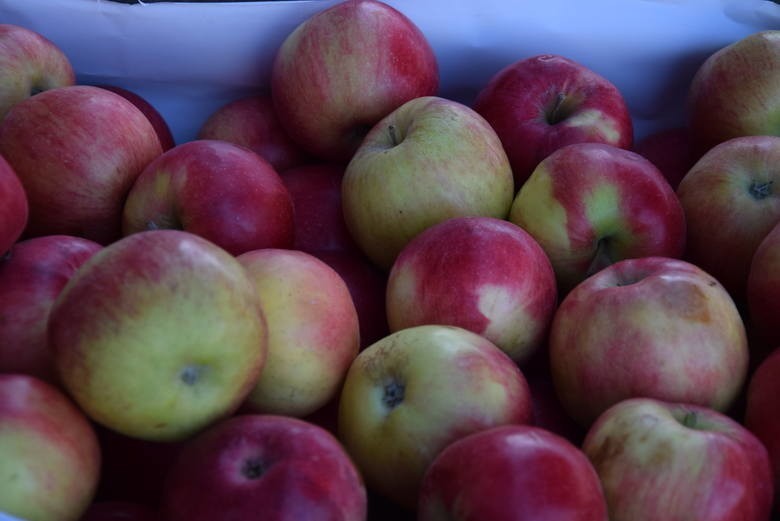 Jabłka - od 3 do 4 złotych za kilogram