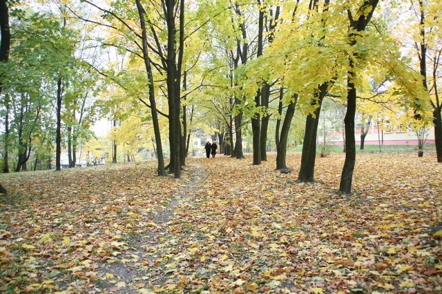 Jesienną porą park wokół Pałacu wygląda pięknie. Jest idealny na rekreacyjne spacery.