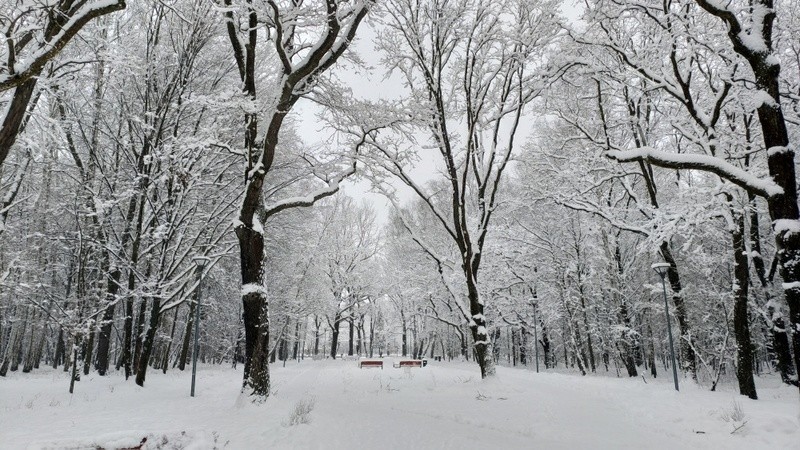 Park Zielona w Dąbrowie Górniczej w zimowej odsłonie Zobacz...