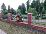 Łoś próbował przeskoczyć ogrodzenie. Nie udało się - przebiły go metalowe pręty! ZDJĘCIA