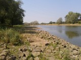 Odra w Głogowie nie przypomina rzeki sprzed kilku tygodni. Miejscami w ogóle nie ma wody (zdjęcia)