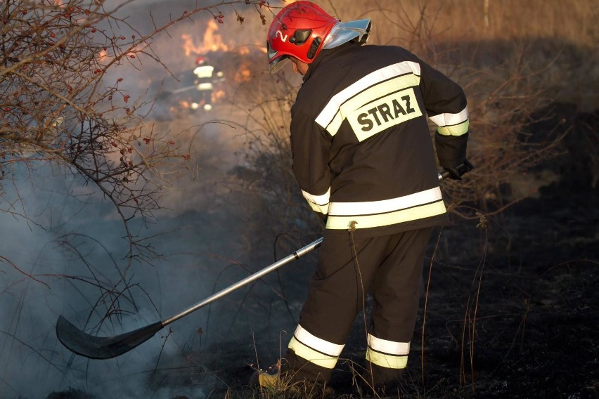 Kodeks wykroczeń przewiduje za to karę nagany, aresztu lub...