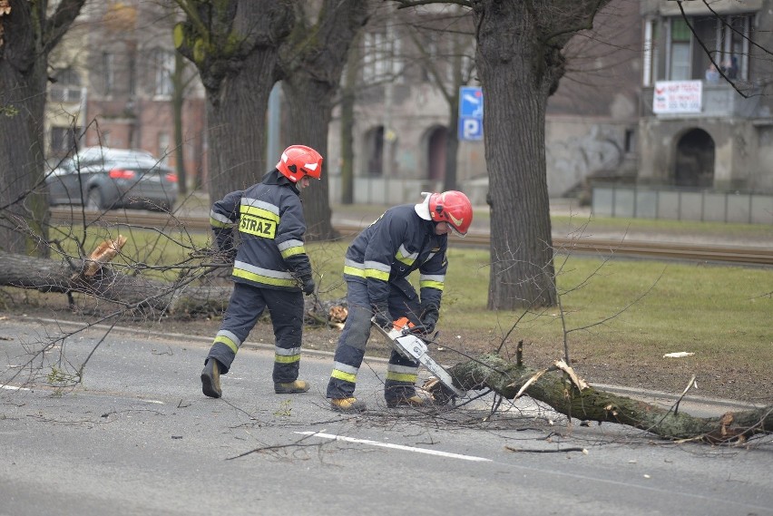 Wypadek na Alei Zwycięstwa w Gdańsku. Drzewo spadło na samochód [ZDJĘCIA]