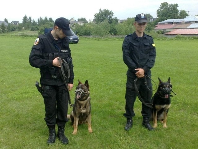 Demon i Bongo to dwa nowe owczarki na służbie w Komendzie Powiatowej Policji w Jędrzejowie.