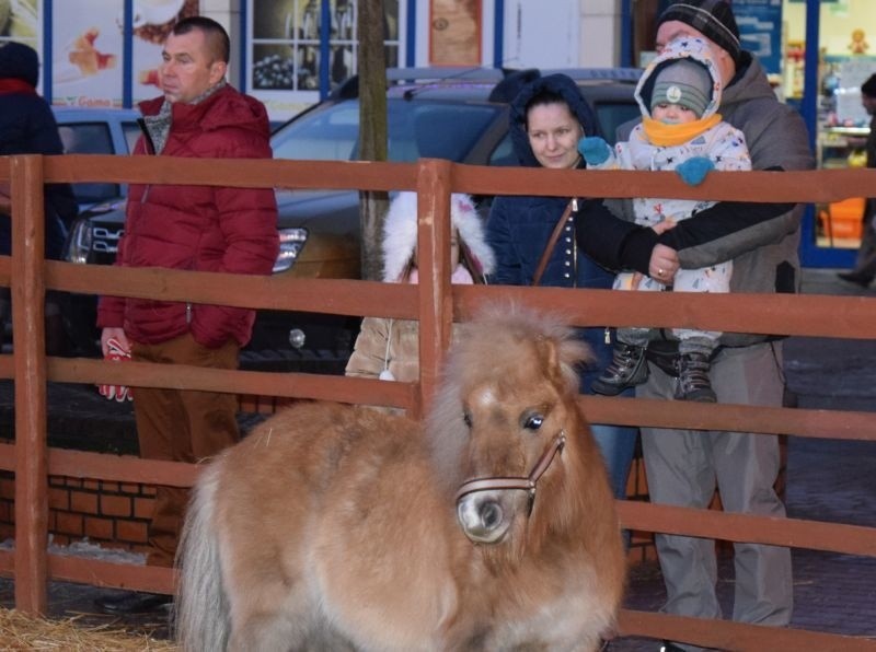 Miejska Wigilia na scenie przy Kupcu [ZDJĘCIA]