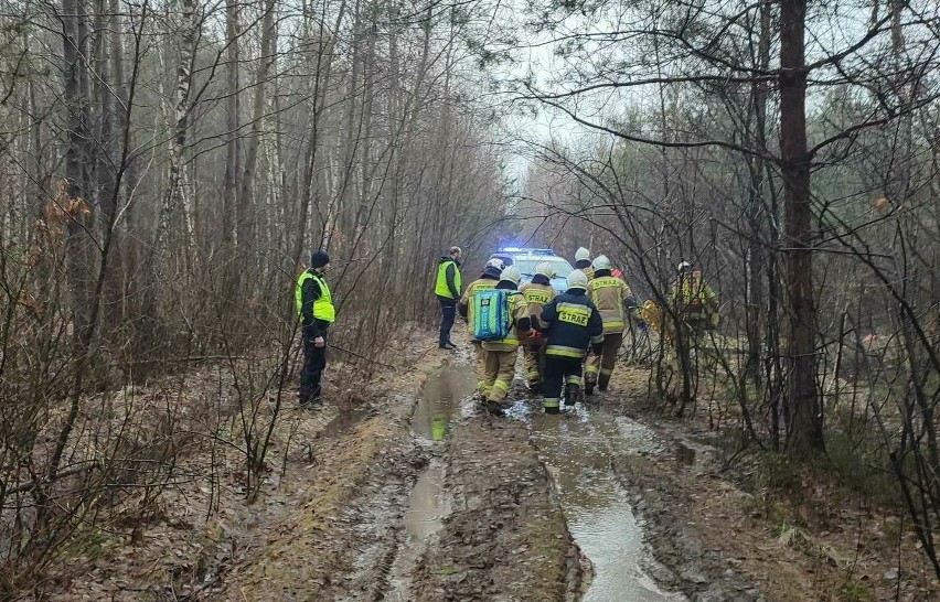 Akcja ratunkowa w lesie w gminie Stąporków.