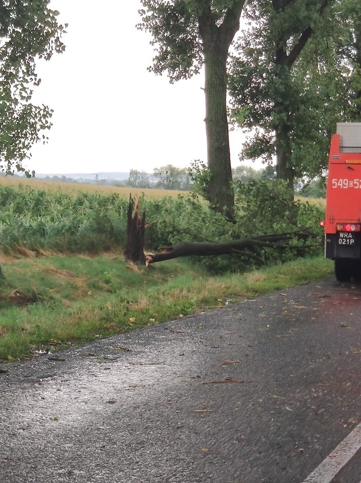 Burze w regionie. Lokalnie mocne ulewy, grad i wichury [ZDJĘCIA]