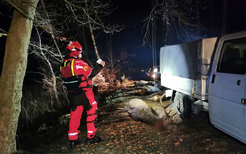 Na jez. w Marianowie spod lodu wypłynęły martwe dzikie zwierzęta. AKTUALIZACJA