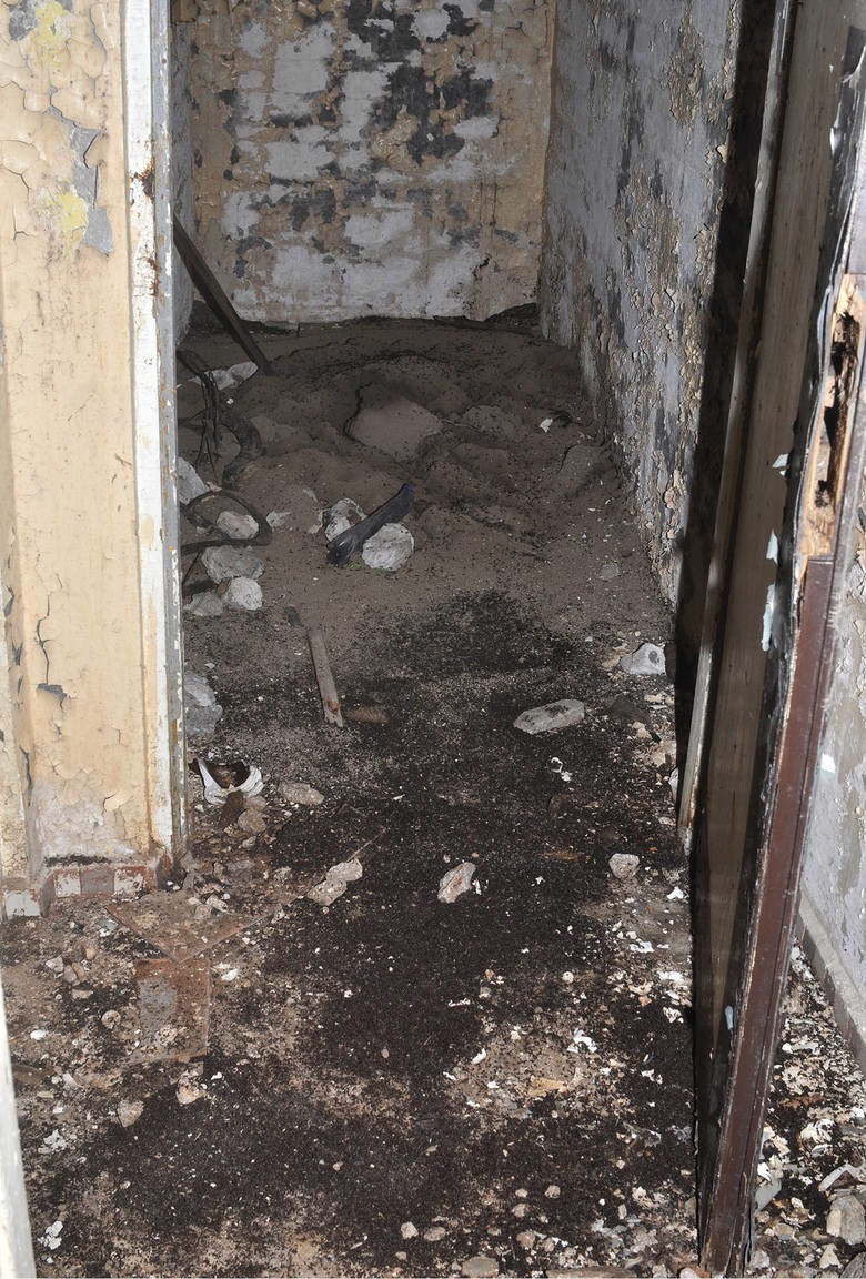 W posowieckim bunkrze w Templewie żyją mrówki. Chociaż nie...