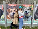 Studentki z Opola wspierają brzeskie schronisko "Przytul Psisko". Wpadły na ciekawy sposób, aby zachęcić mieszkańców do adopcji zwierząt