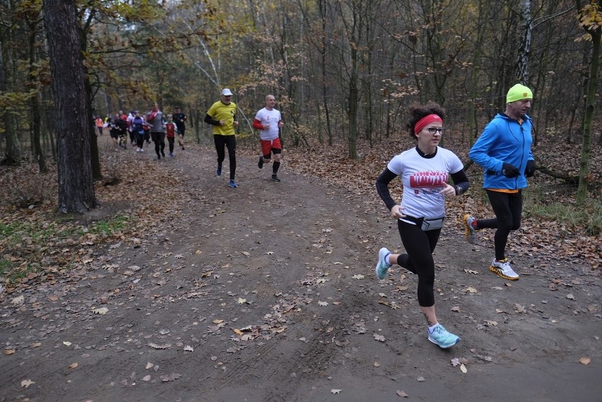 Mamy zdjęcia z kolejnej edycji Parkrun Toruń. Z okazji...