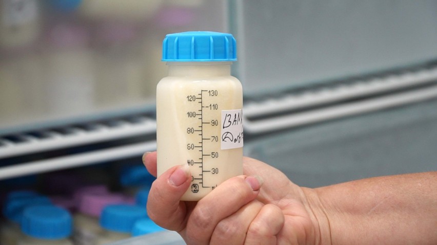 Mleko badane jest pod kątem bakteriologicznym.