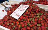 Spada cena truskawek na początku czerwca 2022. Ile kosztuje kilogram owoców? Sprawdzamy