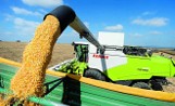 Czas nowości. Maszyny rolnicze premium podbijają nasze pola 