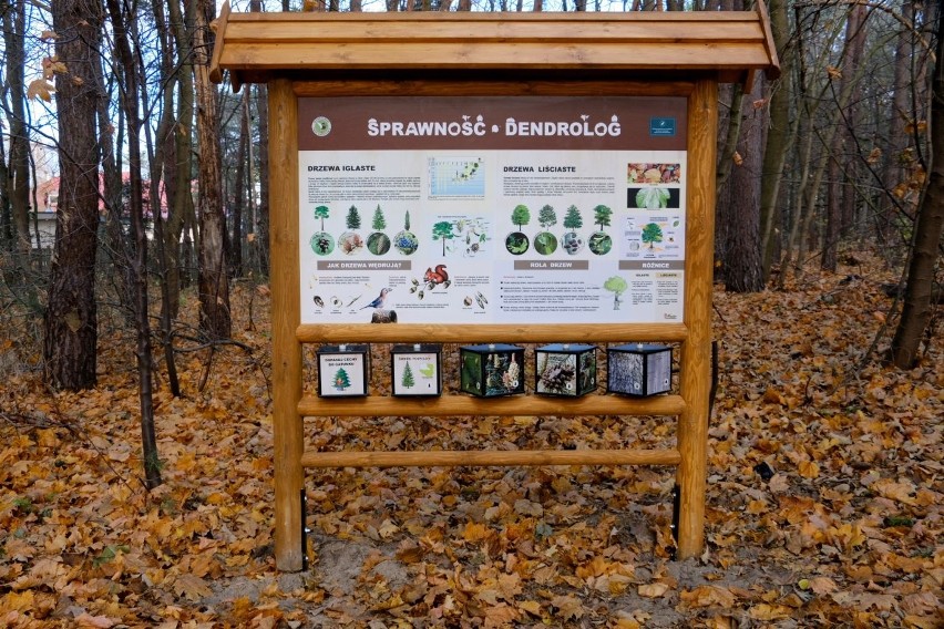 Biebrzański Park Narodowy. Nowa infrastruktura i atrakcje turystyczne w Osowcu-Twierdzy i przy leśniczówce Trzyrzeczki [zdjęcia]