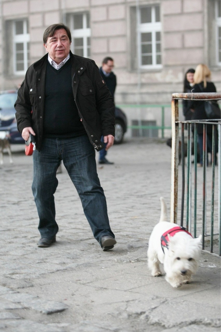 Wrocławscy adwokaci chcą wyższych kar za cierpienie zwierząt. Na spotkanie przyszli z psami