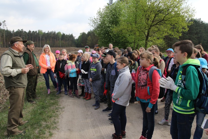 Leśnictwa Lasków i Łysaków mają nowe sadzonki dzięki akcji "1000 drzew na minutę"