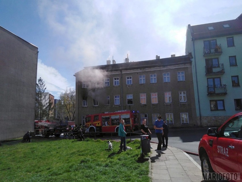 Z pożarem w Prudniku walczyło pięć zastępów strażaków.