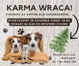 „Karma Wraca” to szczytna akcja na rzecz psów i kotów z Białogardu