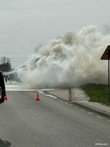 Pożar autobusu w pobliżu Kalisza. Mimo szybkiej interwencji straży pożarnej PKS spłonął doszczętnie. Zobacz zdjęcia z akcji ratunkowej