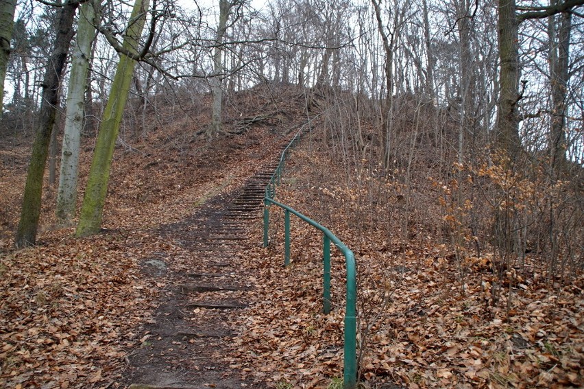 Nie tylko oliwski park linowy nie ma szczęścia do sprawnej...