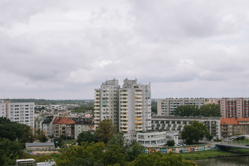 W ciągu ostatnich pięciu lat posadzono w Opolu aż 15 tys....