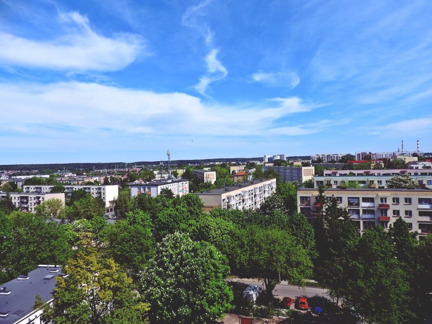 W jakim powiecie województwa podlaskiego będzie najmniej...