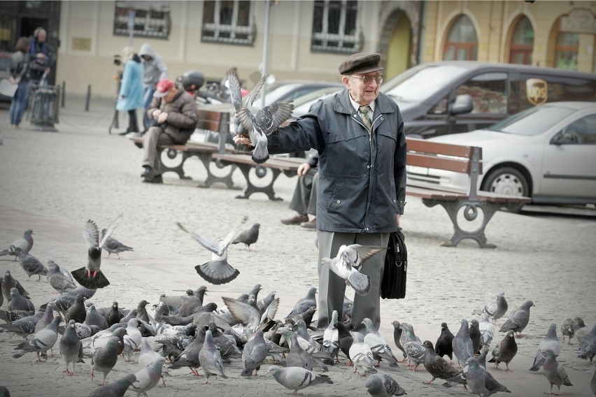 Dokarmianie ptaków to błąd! Możemy wyrządzić im krzywdę [FOTO]