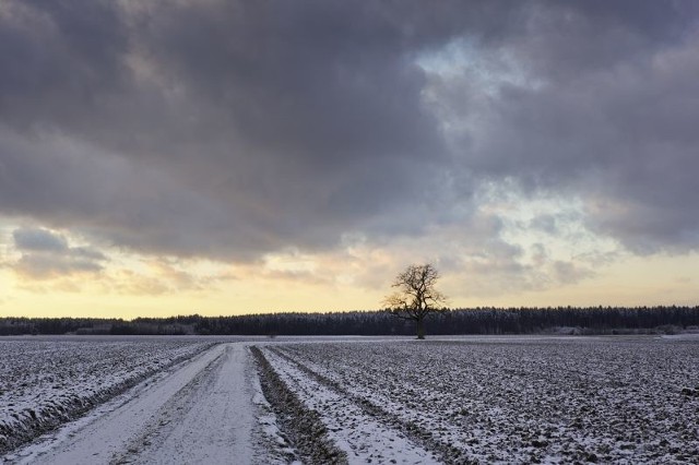 Kiedy w końcu zawita do nas prawdziwie mroźna zima? Jak twierdzą synoptycy na razie się na to nie zanosi.