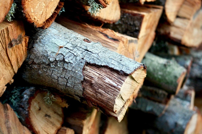 Zajmuje się klasyfikowaniem drewna przeznaczonego do dalszej...