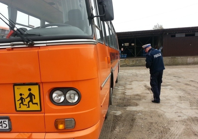 Wszyscy skontrolowani kierowcy gimbusów byli trzeźwi.