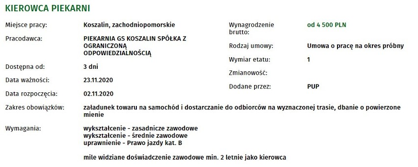 Nowe oferty pracy w Koszalinie. Sprawdź szczegóły, zarobki, warunki 