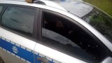 Policjanci spali na służbie - trwa postępowanie dyscyplinarne