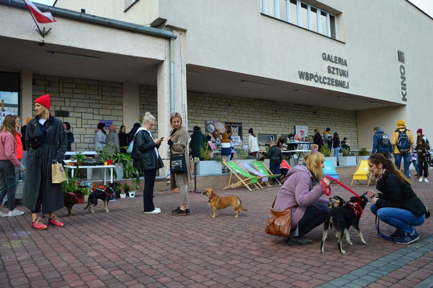 Myślenicki Dzień Kundelka odbył się w sobotę w MOKIS