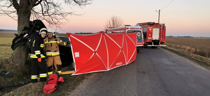 Tragedia pod Namysłowem. Nie żyje 35-letni kierowca audi.