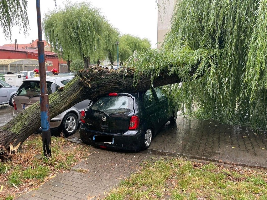Na zaparkowany samochód przed jednym z bloków runęło drzewo.