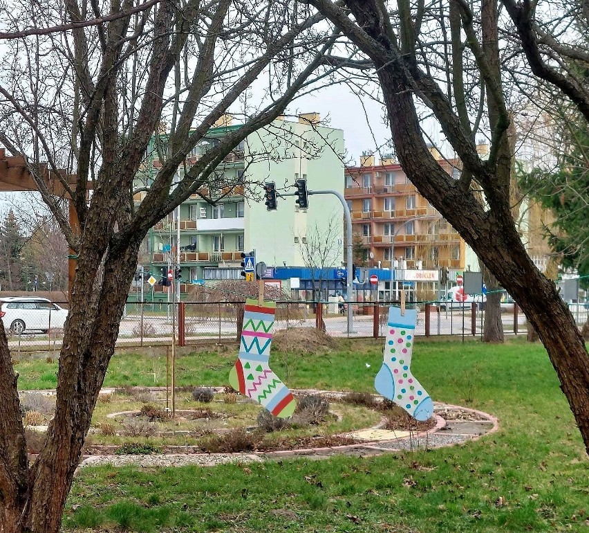 Kolorowe skarpetki przed Zespołem Szkół Specjalnych w Tarnobrzegu. Pierwszego dnia wiosny obchodzimy Światowy Dzień Zespołu Downa. Zobacz!