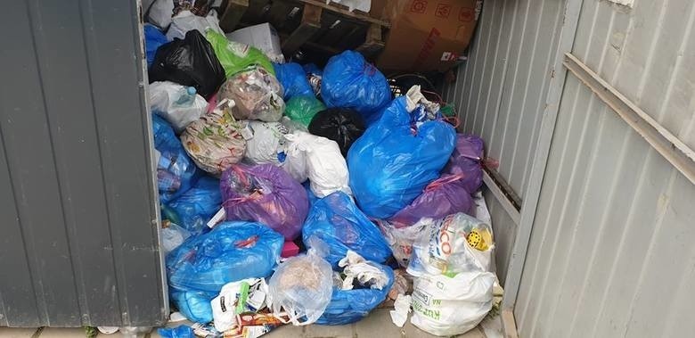 Odpady nie mieszczą się w śmietnikach ze względu na...