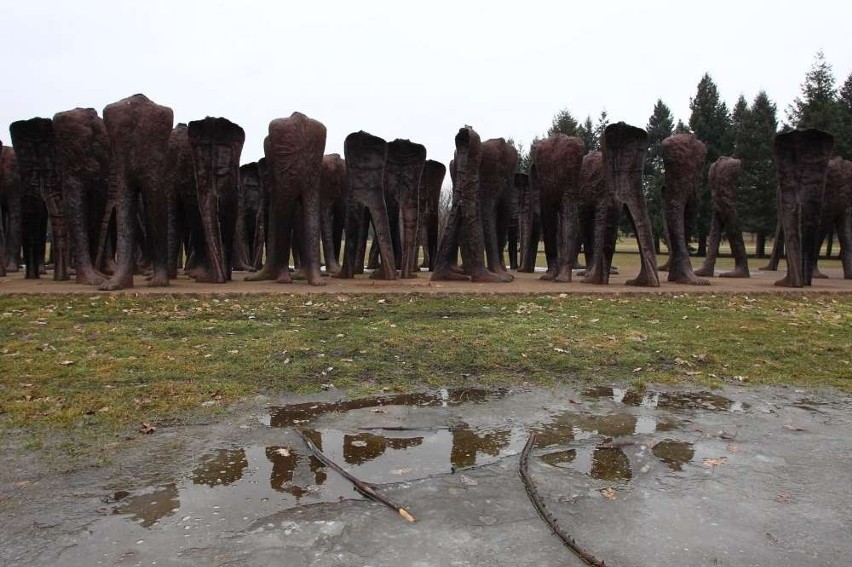 Rzeźba Abakanowicz na Cytadeli została zniszczona!